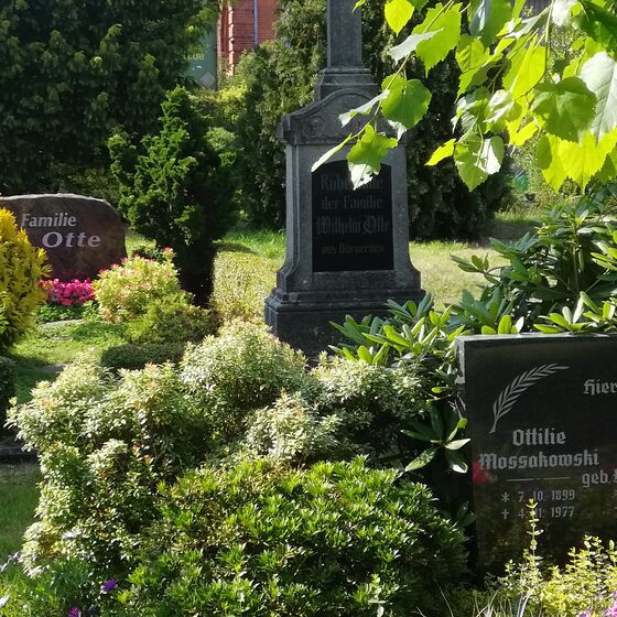 Ev Luth St Cosmae Et Damiani Kirchengemeinde D Rverden Der Friedhof