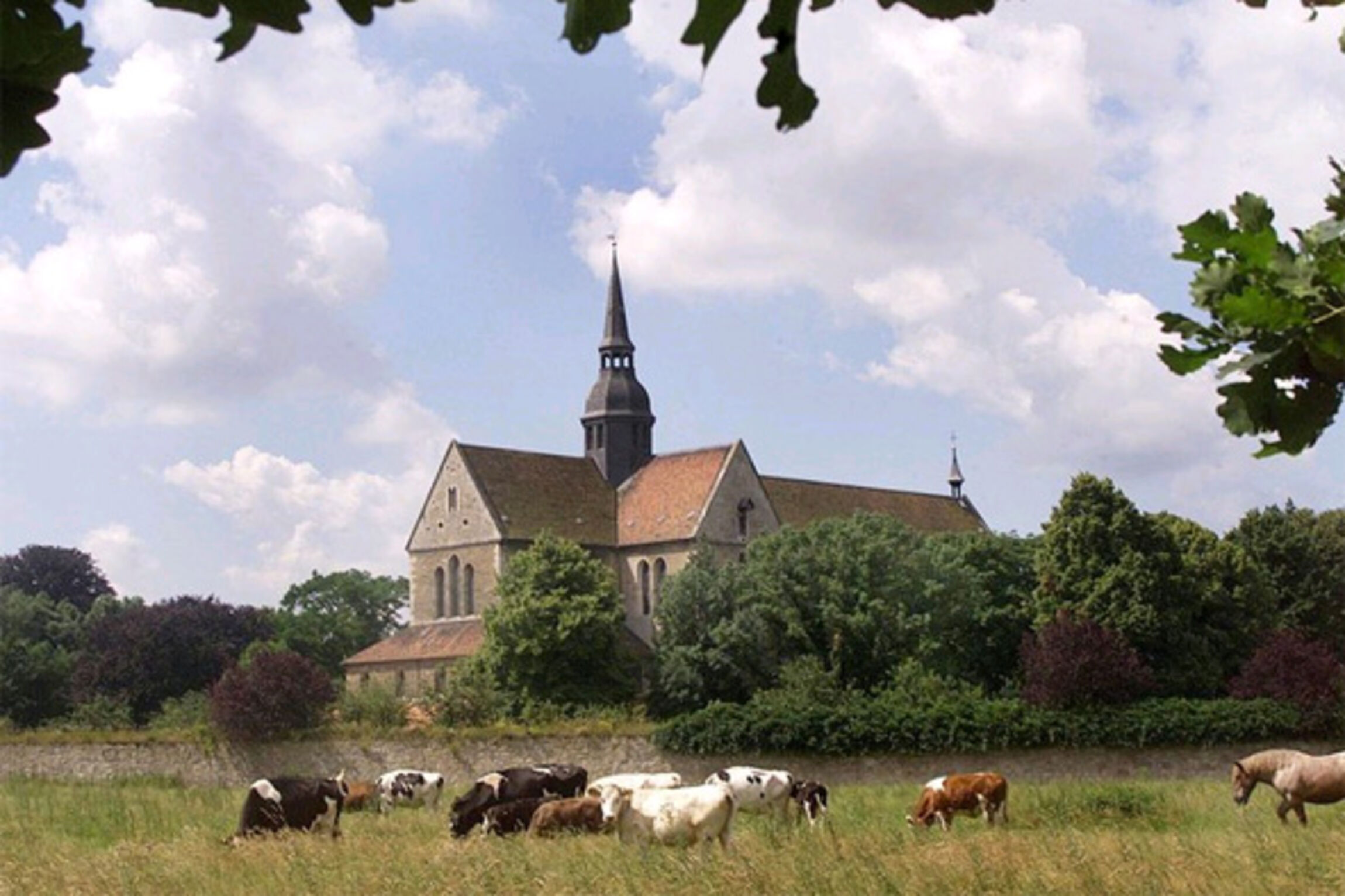 Klosterkirche Braunschweig-Riddagshausen