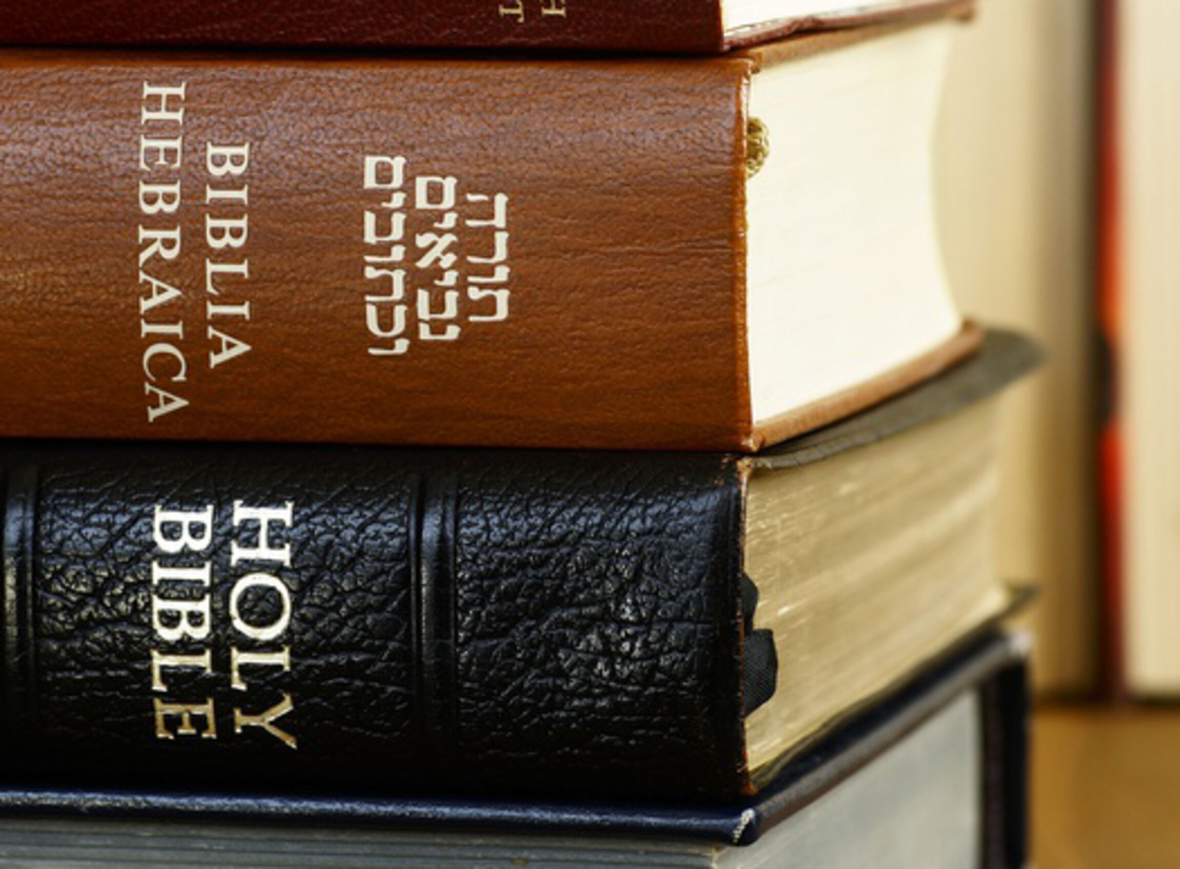 Aus-alt-mach-Neu-Holy-Bible-in-different-languages_ausschnitt
