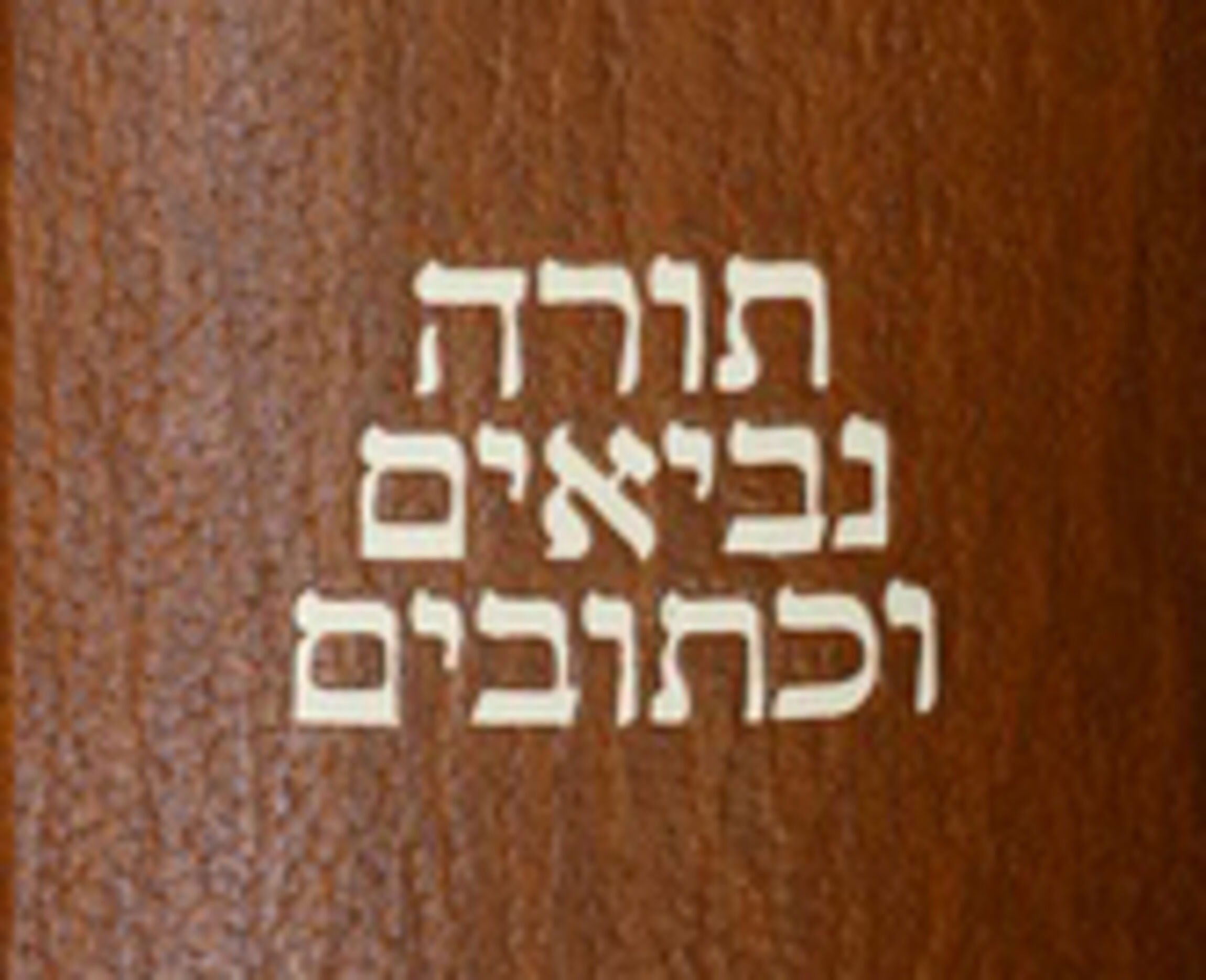 Aus alt mach Neu Holy Bible in different languages_hebraica_hochkannt_klein
