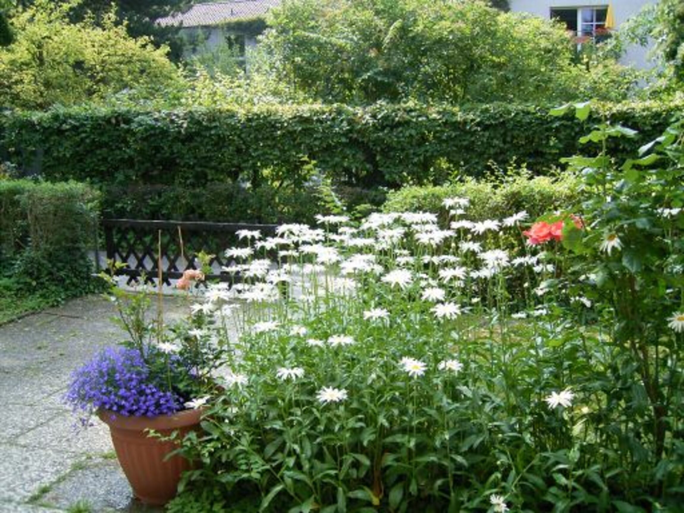 Ausgang_mit_Blumen_klein