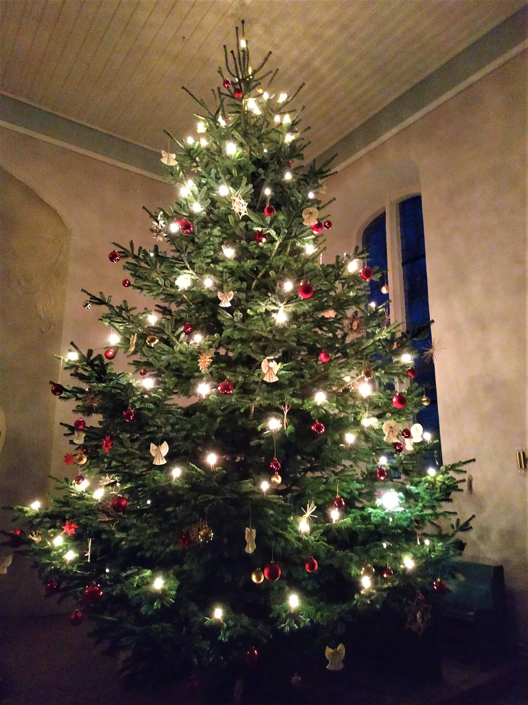 Weihnachtsbaum19