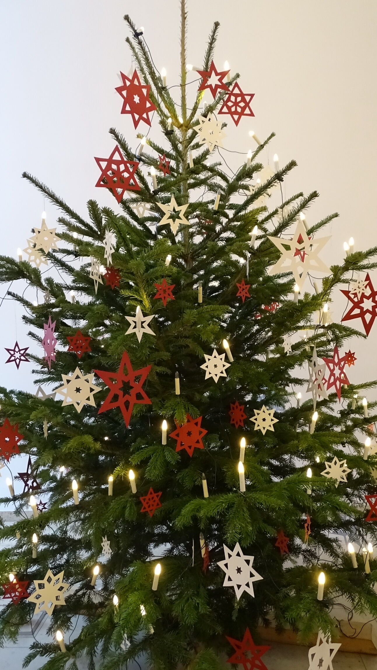 Weihnachtsbaum St.-Paulus