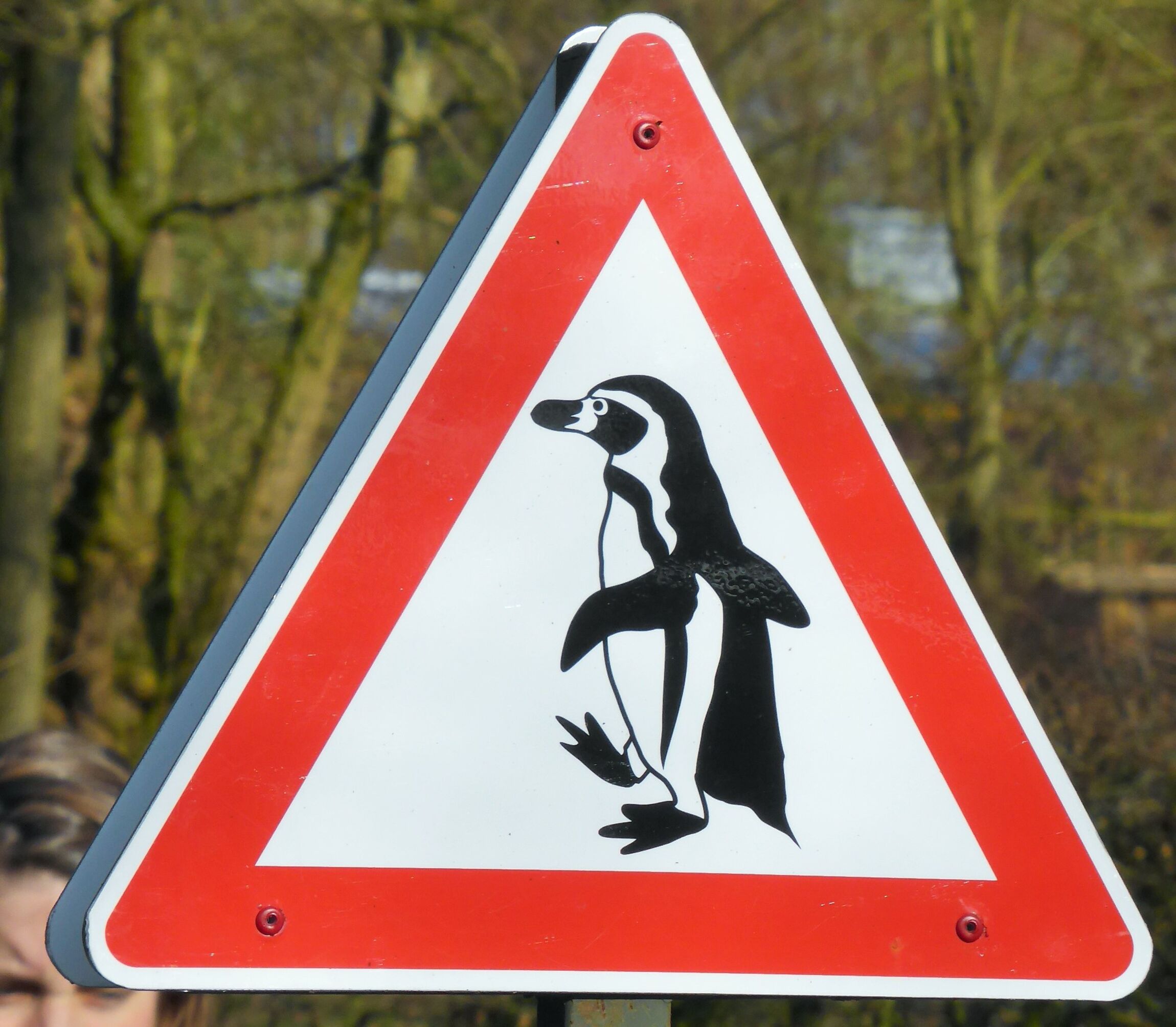 Verkehrsschild "Achtung Pinguine" 