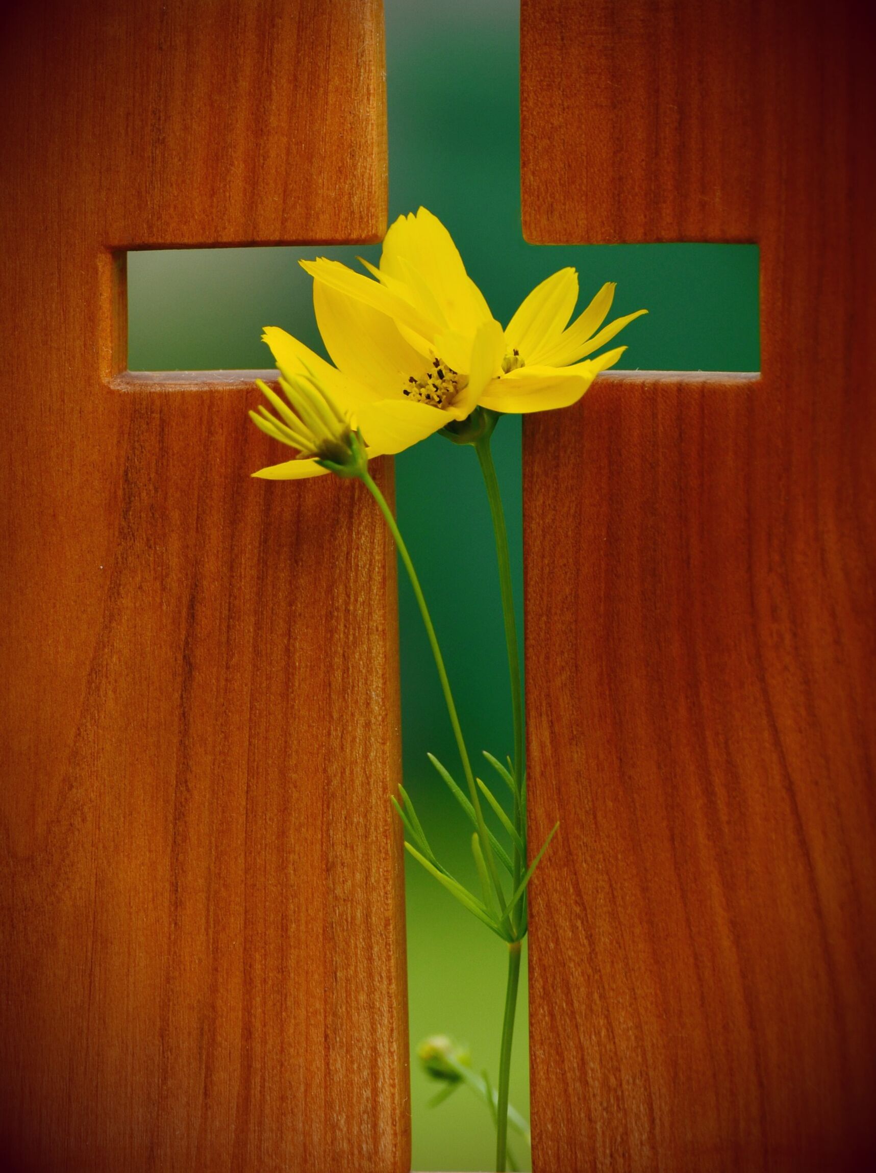 Holzkreuz mit Blume