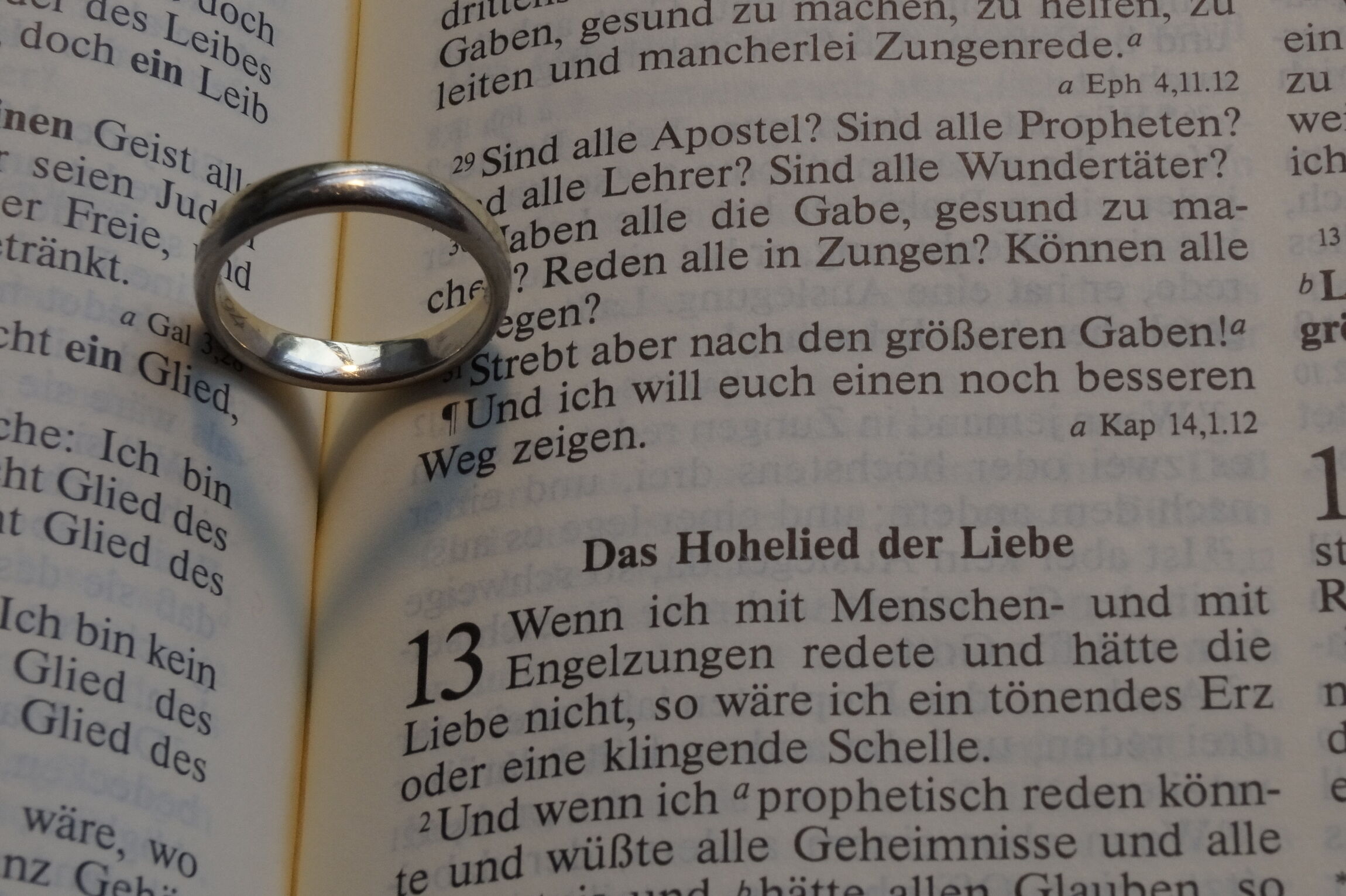 Trauung-Bibel-Ring_bySilkePieper