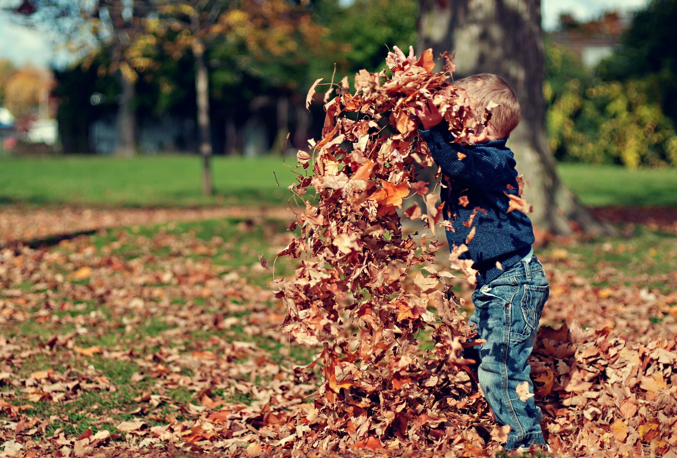 Kind-Herbstlaub_unsplash