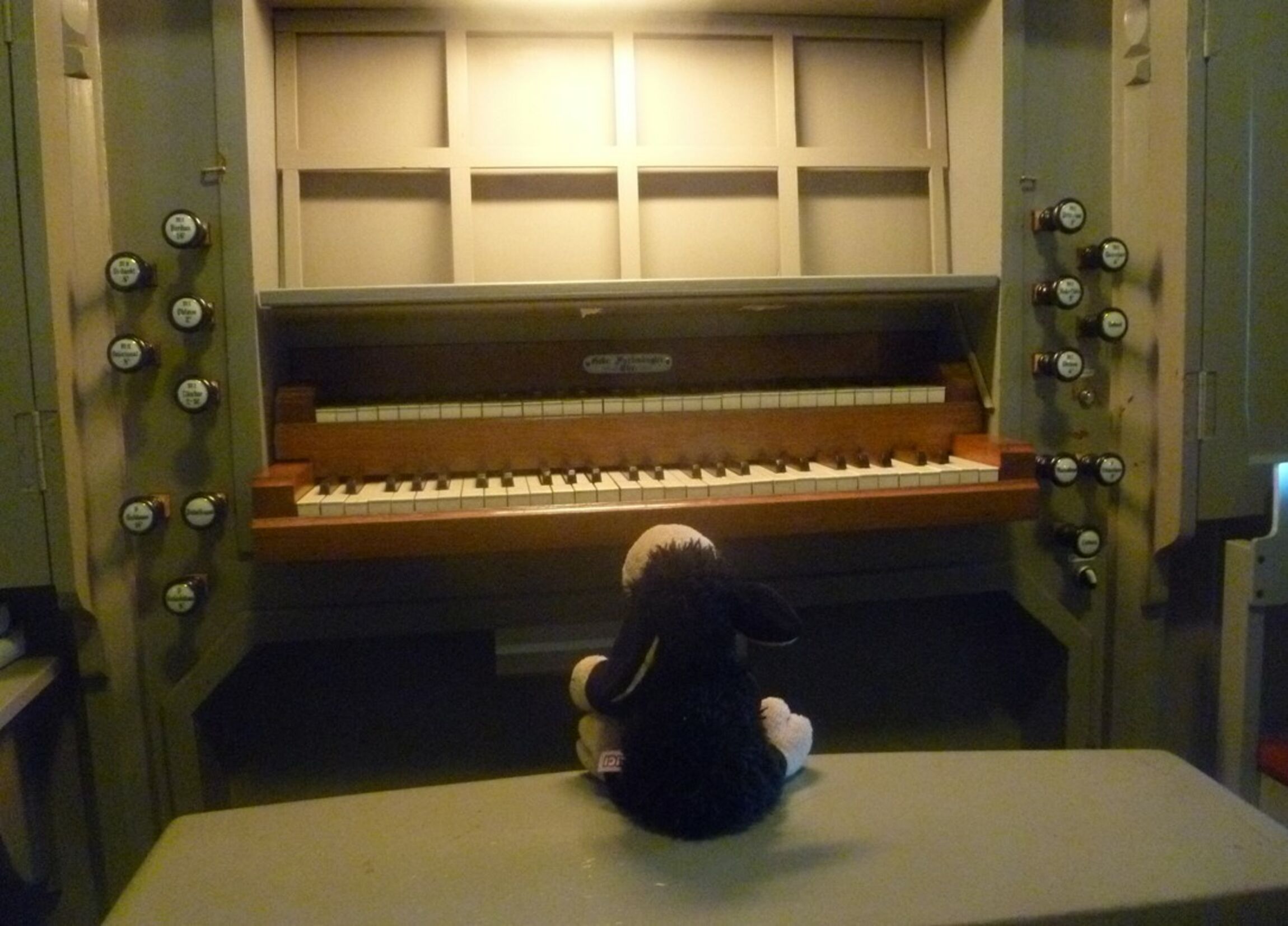 Orgel Kirchwalsede
