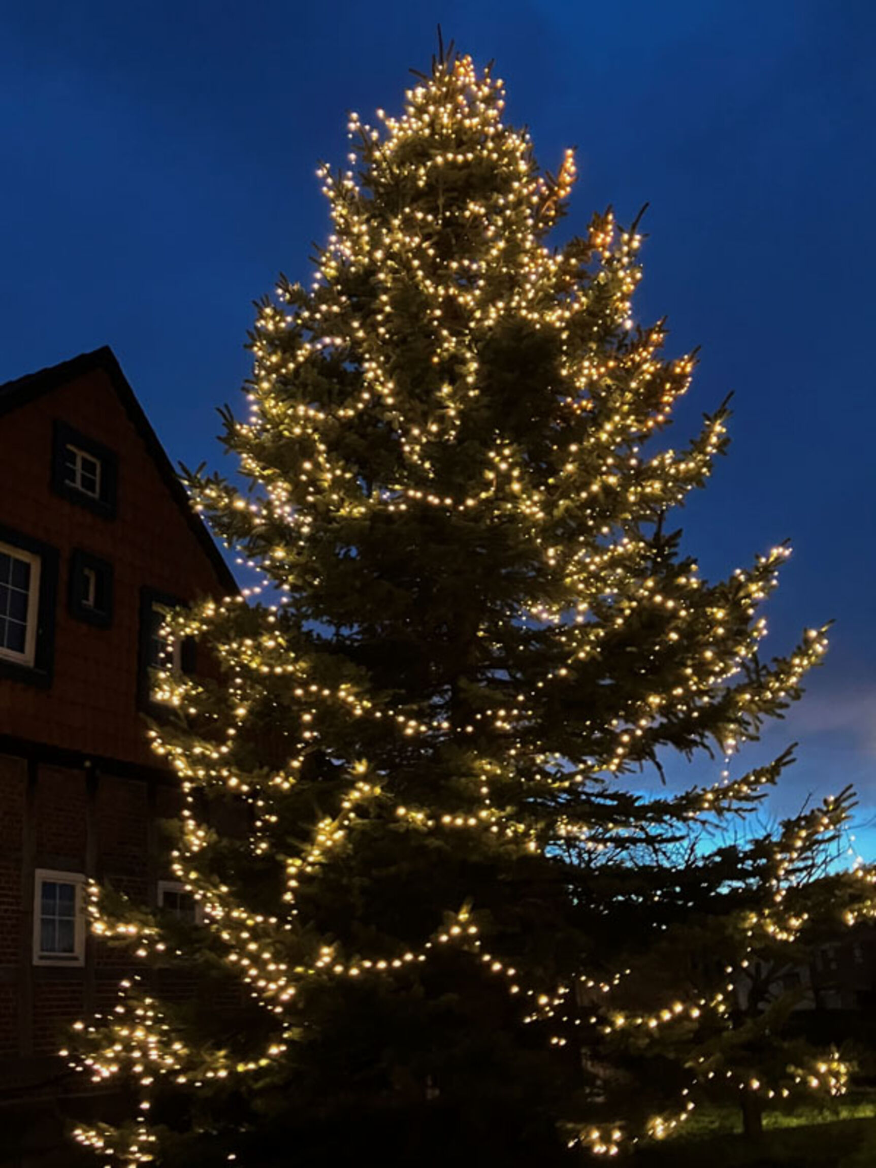 web_jklie_weihnachtsbaum_2023