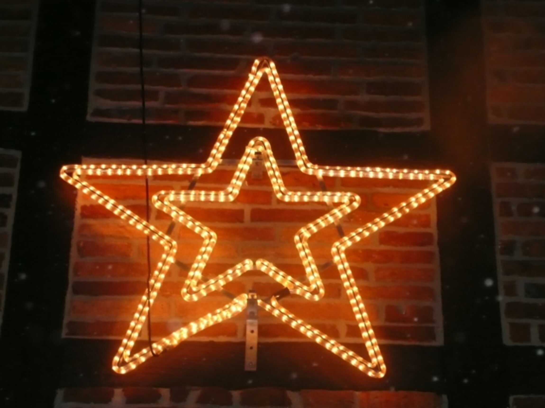 holler-weihnachtsstern-p1020899