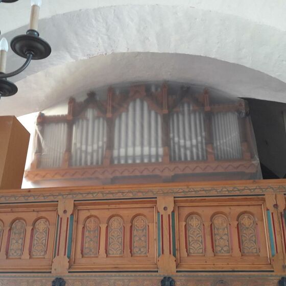 eingehauste Orgel, Foto: Sonja Scholz