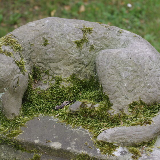  Grabstein Hund auf dem Kirchhof Hastenbeck 