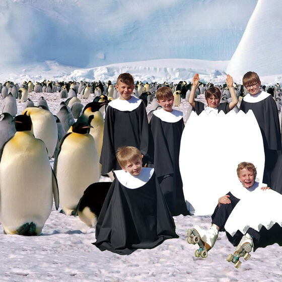 Pinguinmusical 2016