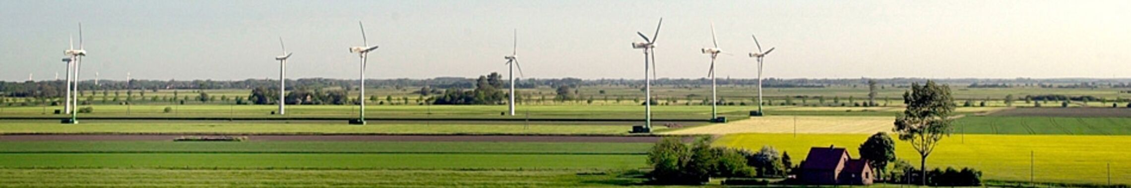 Windkrafträder in gelb-grüner Landschaft