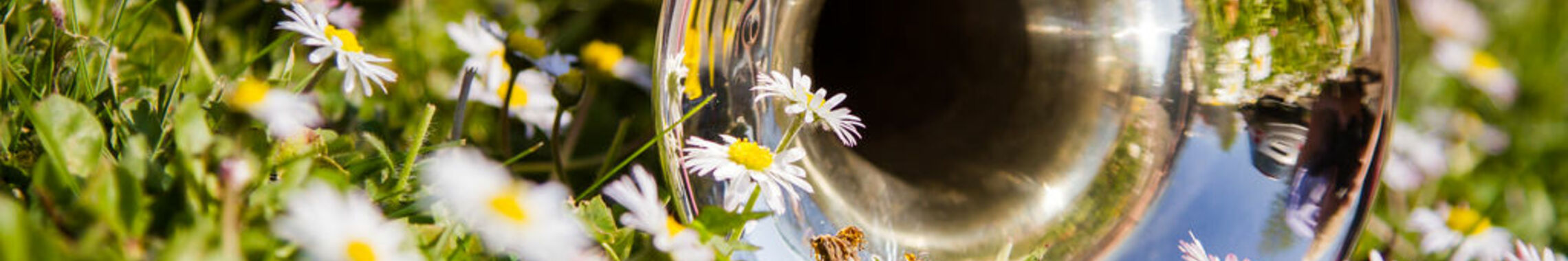 Bläser Natur Trompete