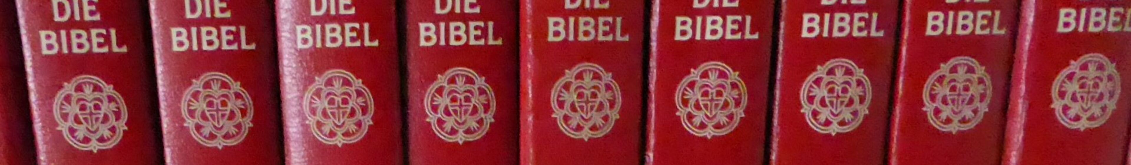 Bibelkreis d.L