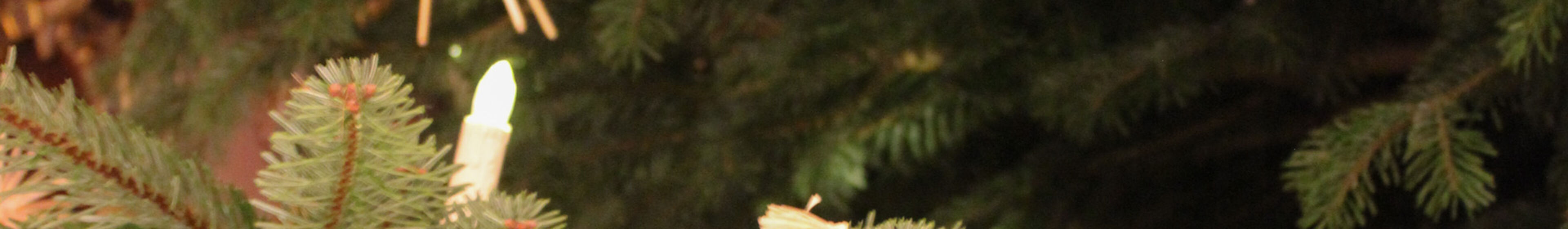 new_header_weihnachten_2020-02_img_6779