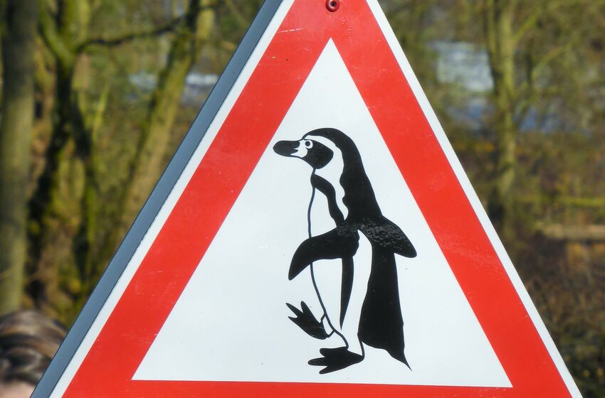 Verkehrsschild "Achtung Pinguine" 
