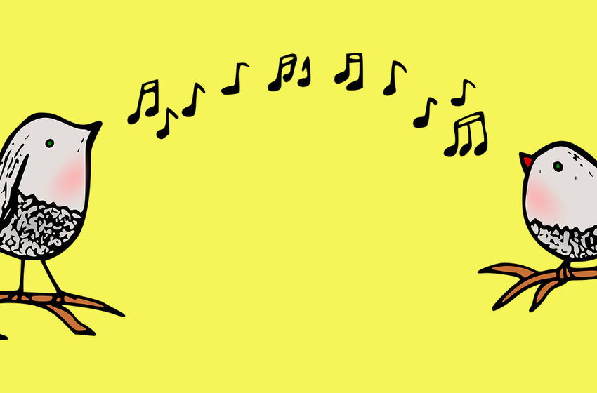 Gemeinsam online singen