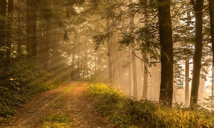 Licht leuchtet