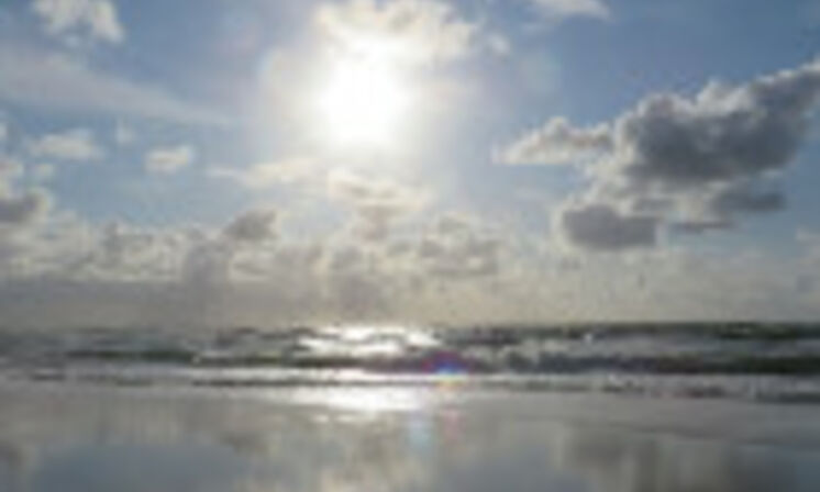 teaser_img_0671